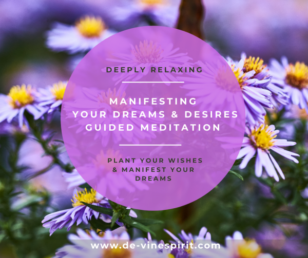 Manifesting Guided Meditation