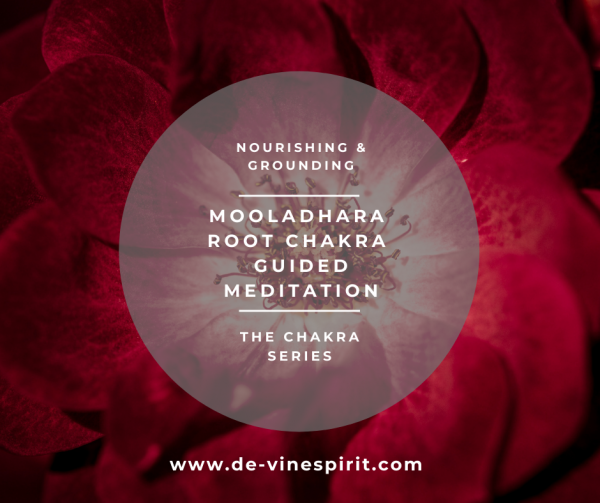Mooladhara Root Chakra Guided Meditation