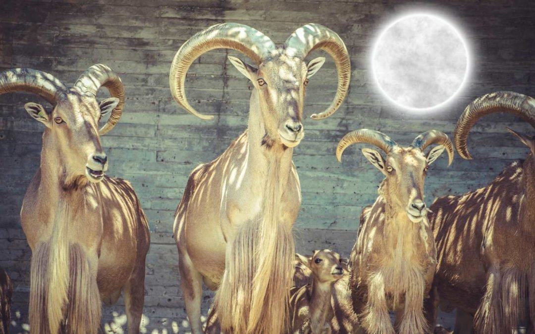 The Full Buck Super Moon – 3rd July 2023