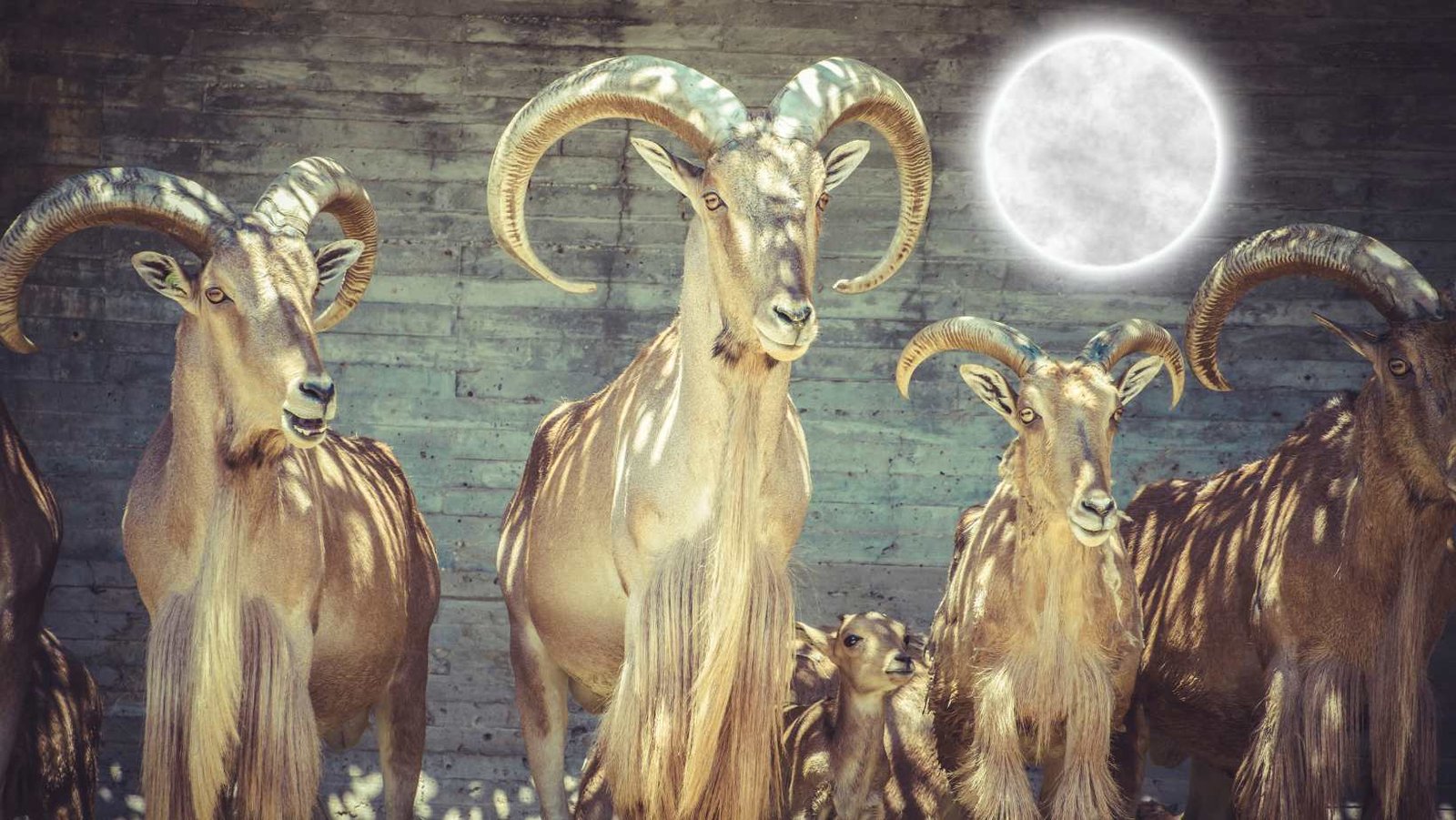 The Full Buck Super Moon - 3rd July 2023 - De-Vine Spirit