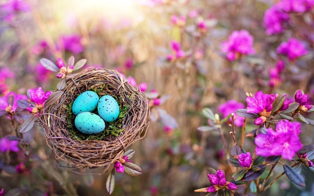 Super New Moon Sunday on Mothers Day