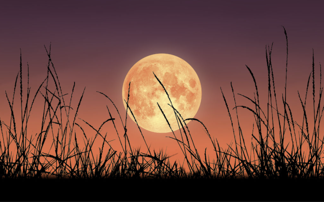 Harvest Full Super Moon & Lunar Eclipse – whats the scoop?