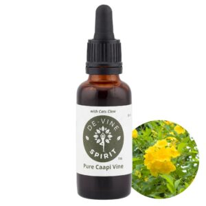 Banisteriopsis Caapi Pure Vine Blends with Cats Claw 30ml