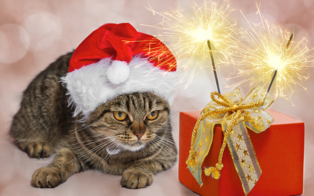 Navigating the Holidays: Compassion, Awareness, and Choice