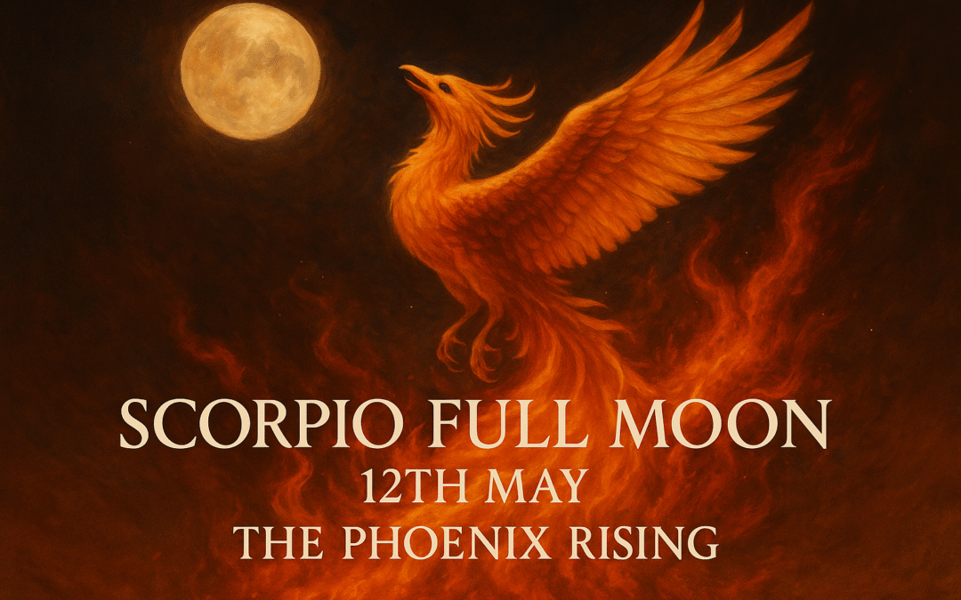 Scorpio Full Moon – The Phoenix Rising