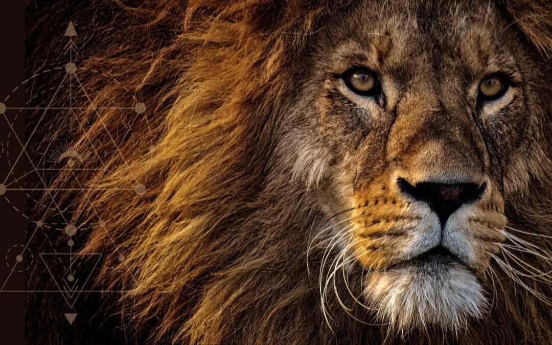 Unlocking the Lionsgate Portal: A Gateway to Light, Power & Higher Purpose