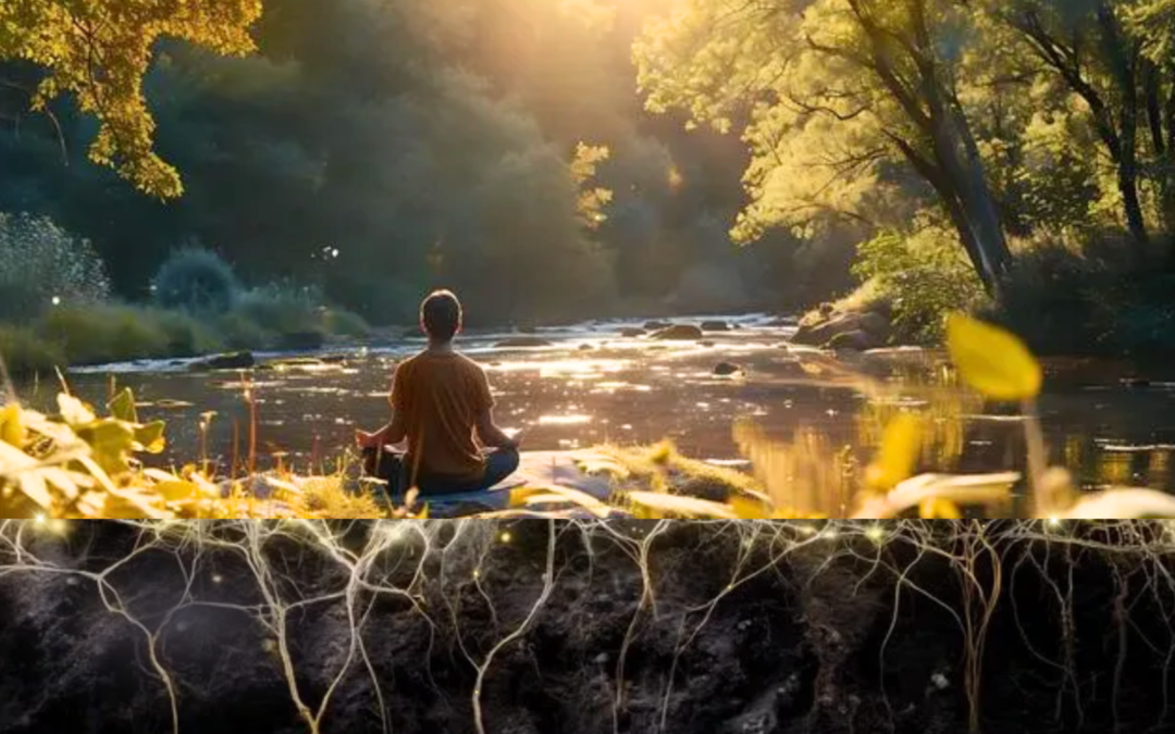 The Frequency We Choose to Hold –  The World Cup Final, the Barbault Basket & the Quiet Power of Presence