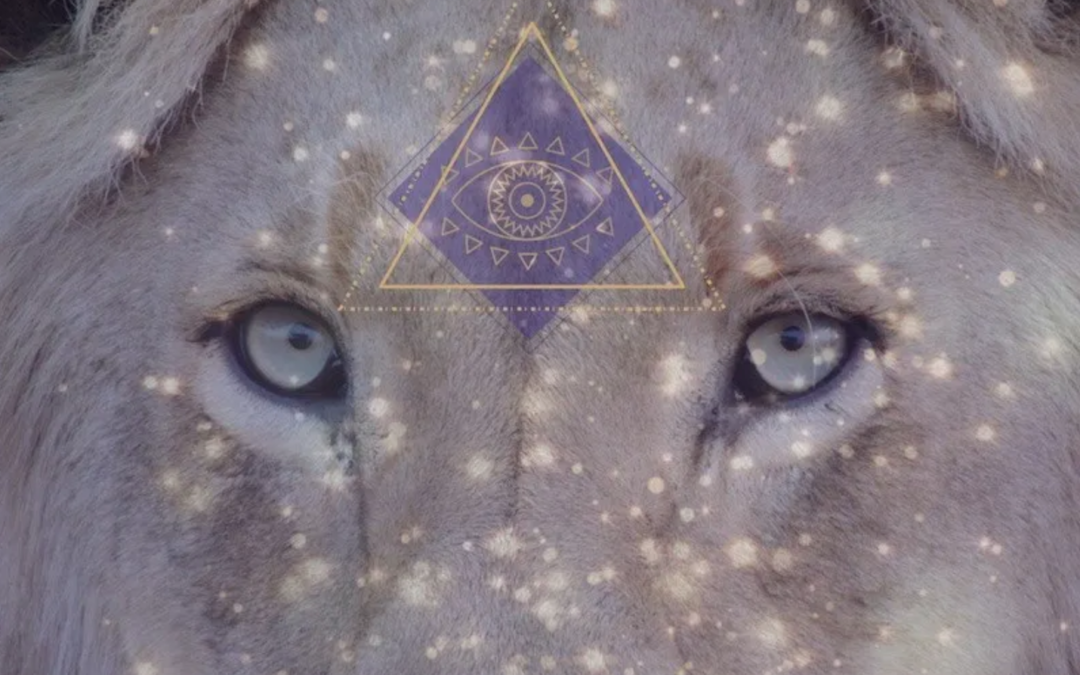 The Lionsgate Portal: A Threshold Worth Honouring